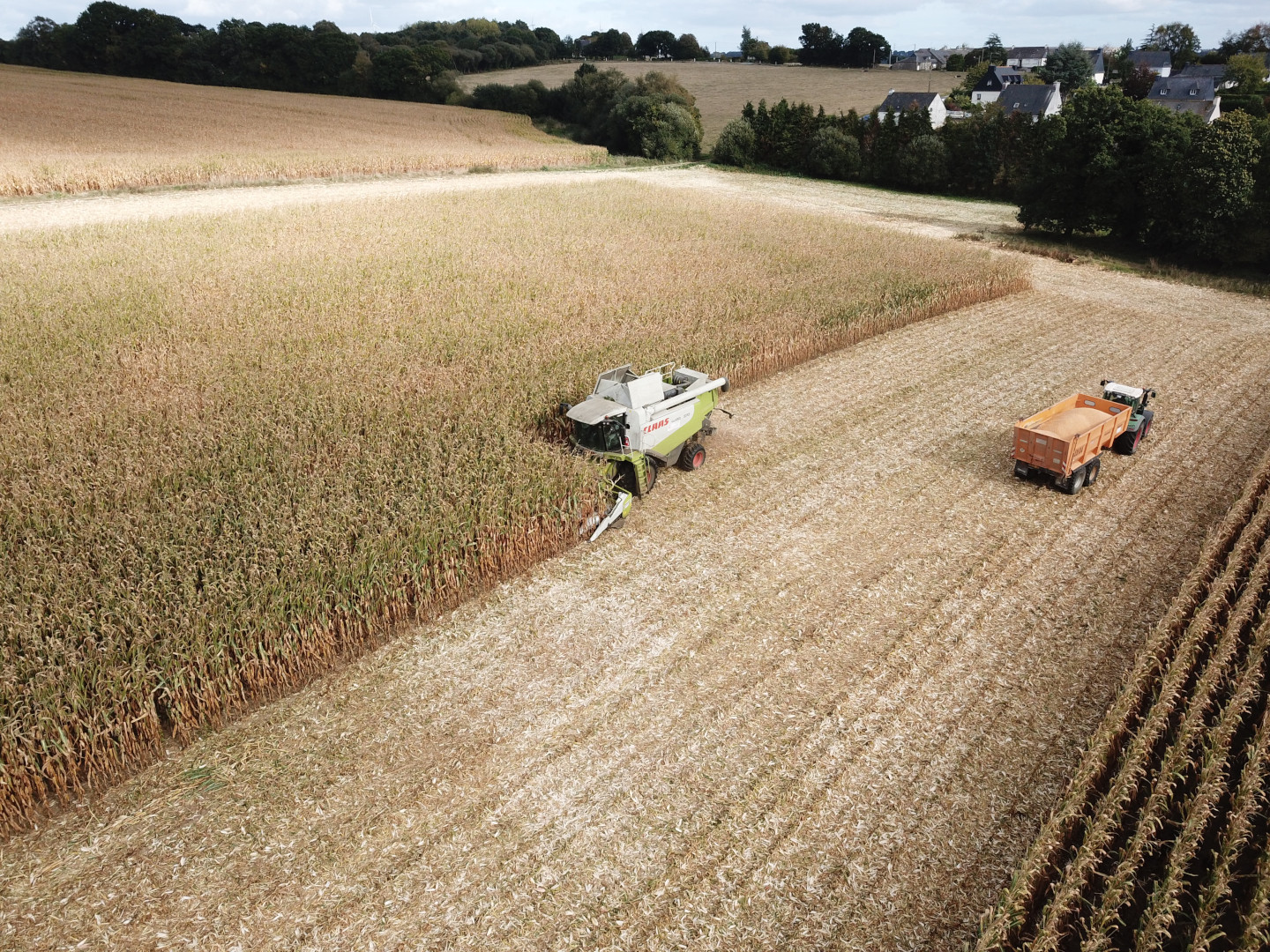 Moisson maïs 2018 - ETA Gautier